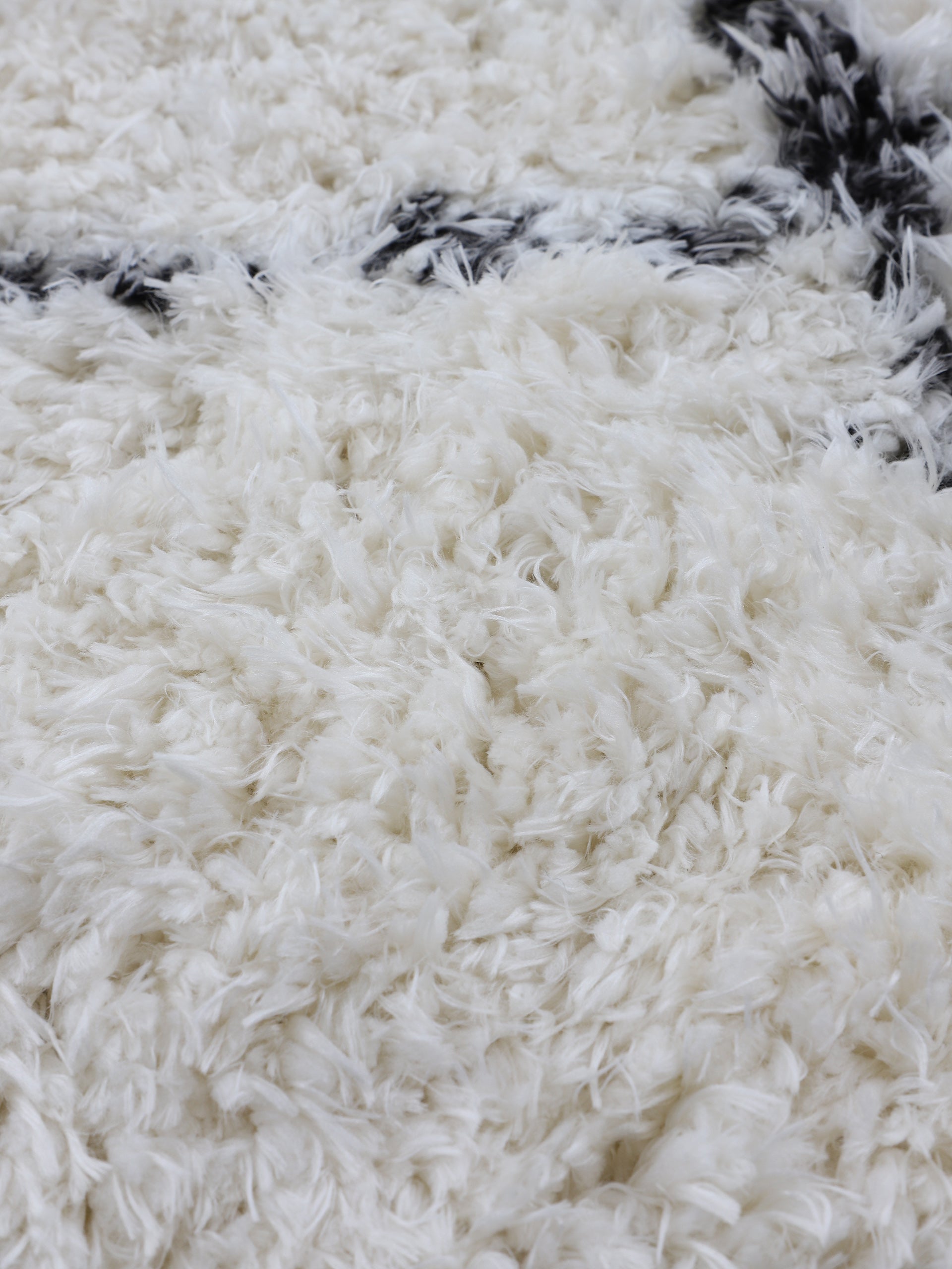 Hochflorteppich Eddy Schwarz